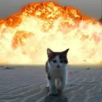 catmetal