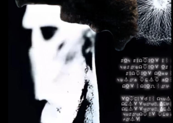 Wait in line to get a Low Taper Fade screenshot 2