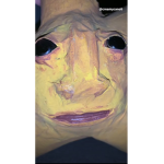 Rafkaka