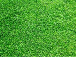 Da Grass Eaterr CLub