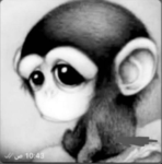 amaesi