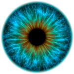 The Asylum of Eyes