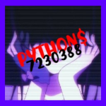 python$