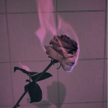~