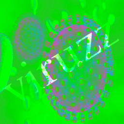 viruzz