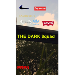 The dark $quad