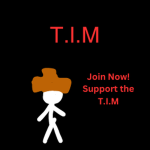 T.I.M Group