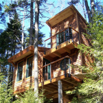 TreeHouse Mix