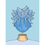 Pyxl's Clothing
