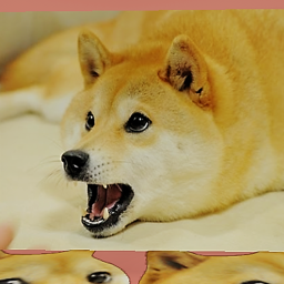 doge hangout