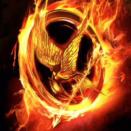 the fake hunger games featuring-Patrick_z_nuts
