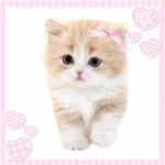 'fluffy
