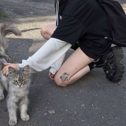✿