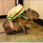 BREUES