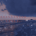 a e s t h e t i c s s q u a d .