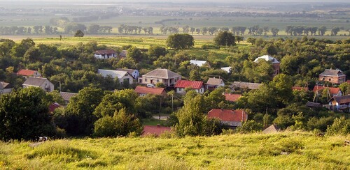 СЕЛО