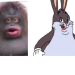 monke incorporated.
