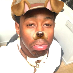 Tyler The Creator OBBY