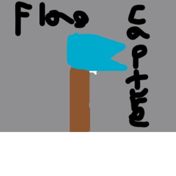 Flag Capture!