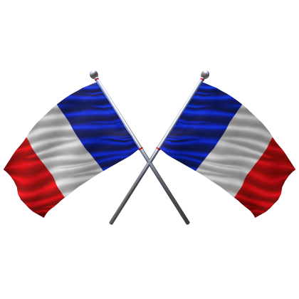 🇫🇷 France Shoulder Double Flag Roblox item
