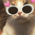 ~bunny_squad~