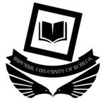 Roblox  University