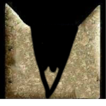 ~Mountain Clan~ (Warrior Cats)