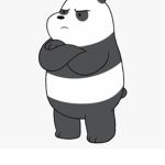 Special pandas