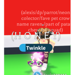 The Roblox fans bff