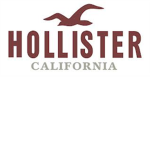 Hollister Fan Group