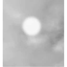Greyscale -demo- icon