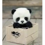 BFF panda club