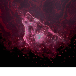 Pink Wolf YT