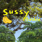 Sussy plushie