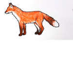 Foxesrool