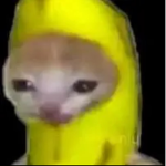 IM_A_BIRD