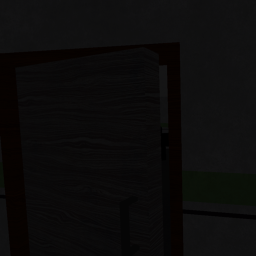 The Anomaly