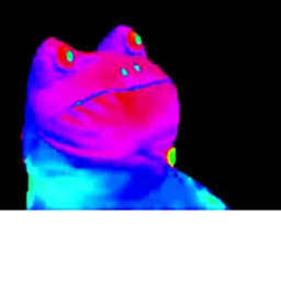 Kermit Training Grounds