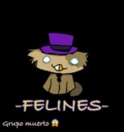 - , f e l i n e s , - Group Thumbnail