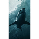 SHARKS HOTELL