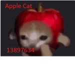 ⨂ Apple Cat ⨂