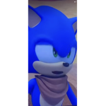 Sunky vs Sanic