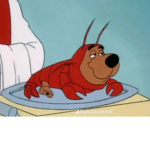 Scooby dooz