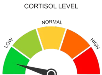 LOW-CORTISOL Roblox group icon