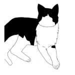 Fluffy Kitties
