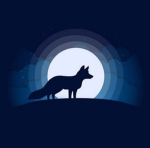 moonfox_studio