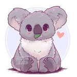 Miss koala