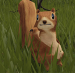 ChunkySquirrel Group