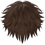 Brown Messy Hair