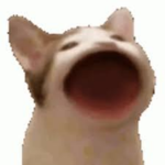 The attack of the Coughing cats